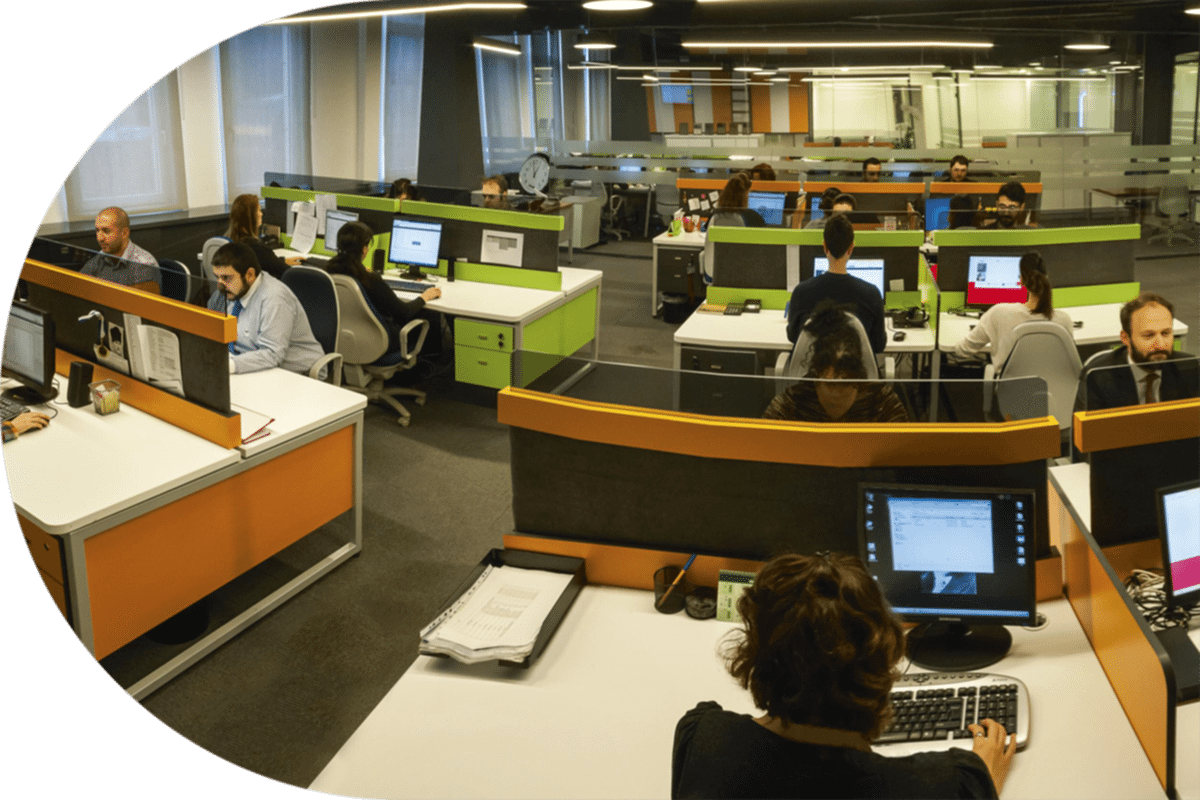 Bilgi ve organizasyon