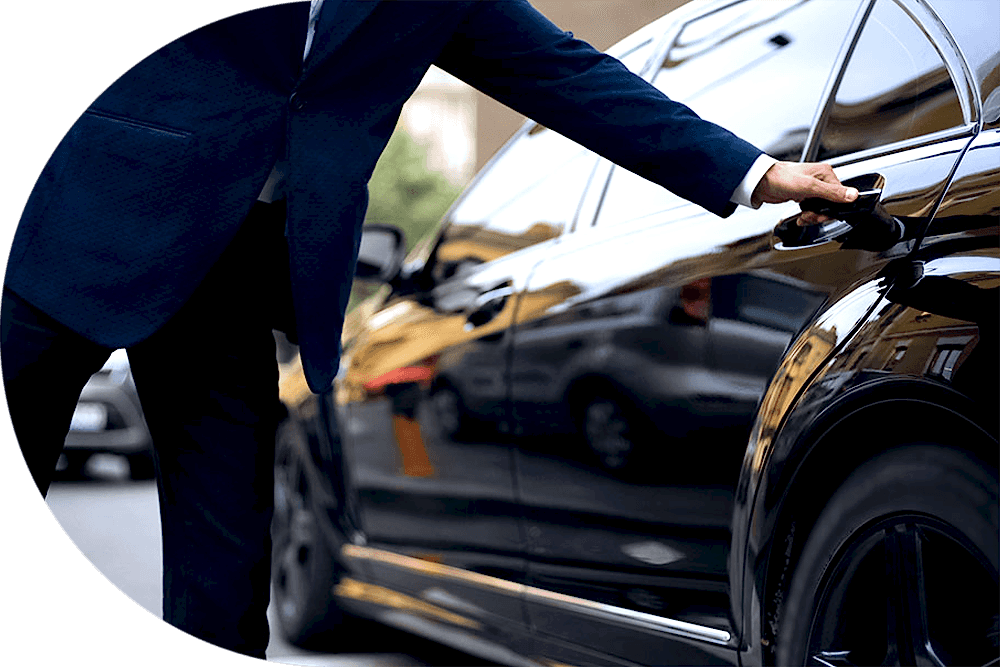 Profesyonel sürücü hizmeti